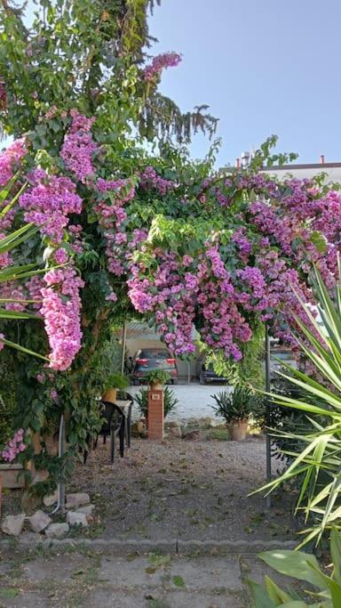 Apartment La Stazione *