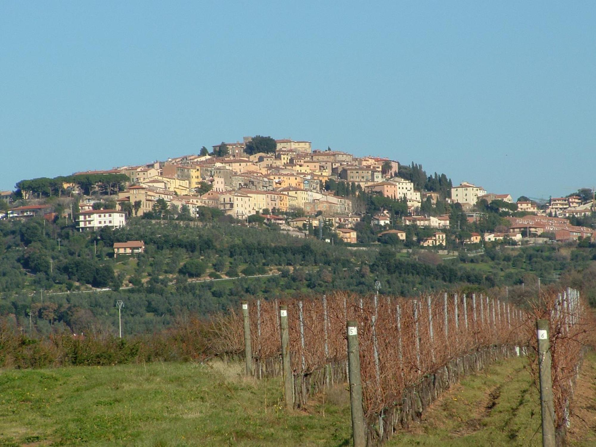 La Stazione Apartment Donoratico